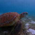 original_80cce302-a6c6-448e-bffc-c6735f18772d_PB081776