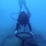 WhatsApp Image 2025-08-19 at 12.44.49